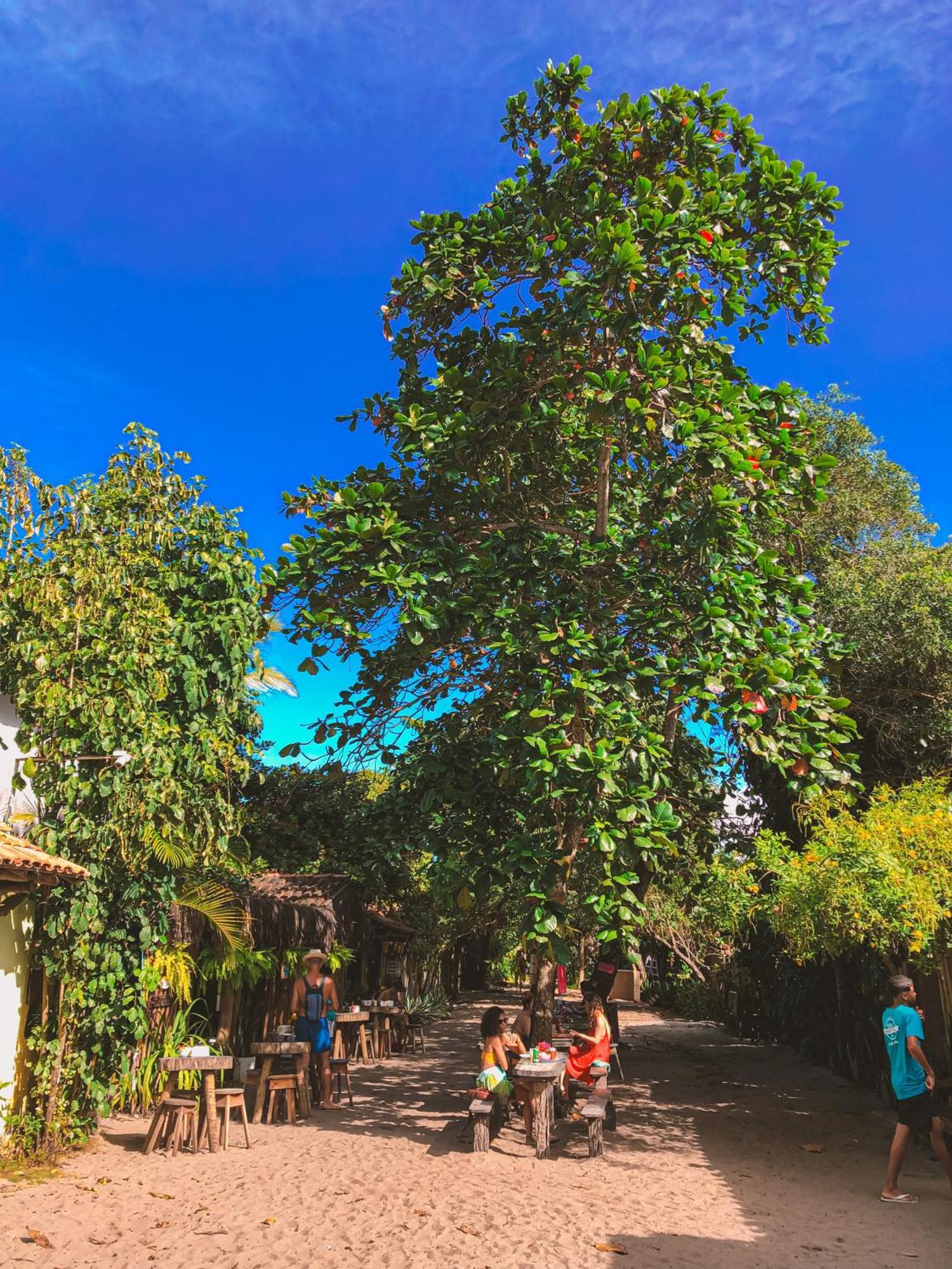 Pousada Villa Esperanca - Xando - Caraiva Ba Екстериор снимка